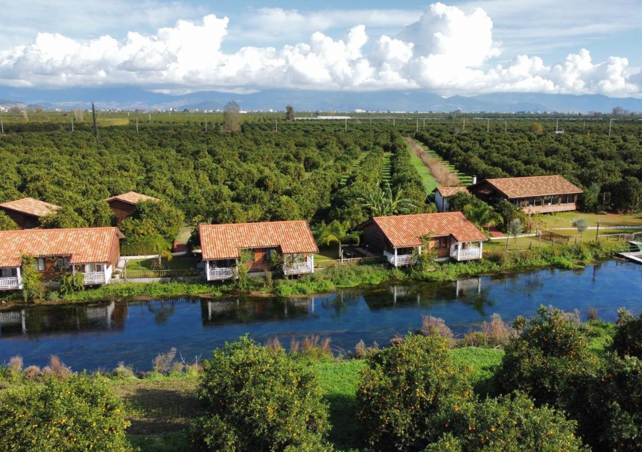 Гостевой дом Turkuazkoey Финике Экстерьер фото